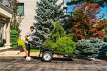DK2 4-ft x 8-ft Steel Utility Trailer ( 1450-lb Capacity ) 5364713