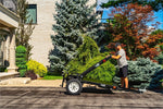 DK2 4-ft x 8-ft Steel Utility Trailer ( 1450-lb Capacity ) 5364713
